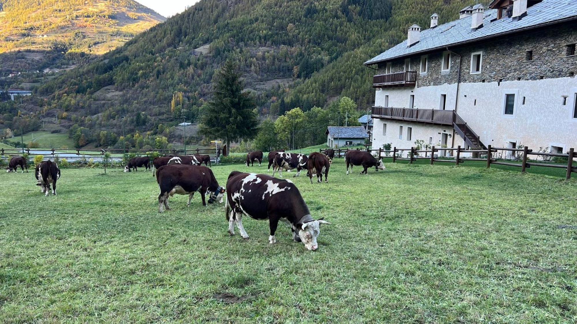 Maison Marcoz - Appartamenti Vacanze Этрубль Экстерьер фото