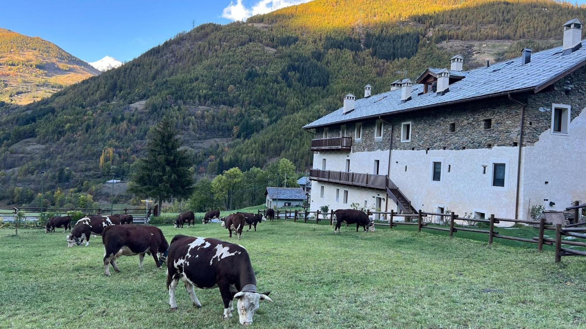 Maison Marcoz - Appartamenti Vacanze Этрубль Экстерьер фото